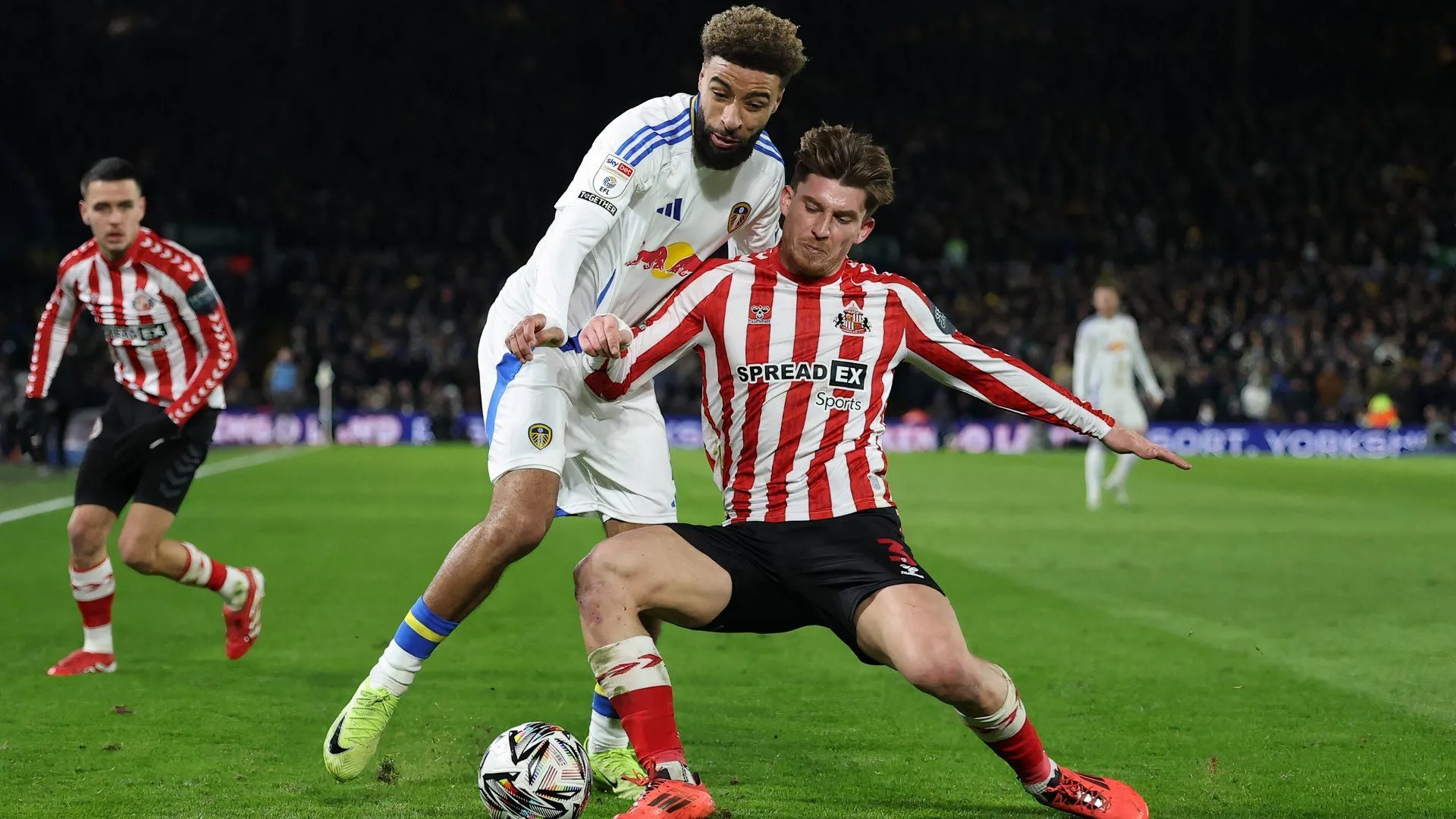Các cầu thủ Sunderland ăn mừng chiến thắng trong một trận đấu