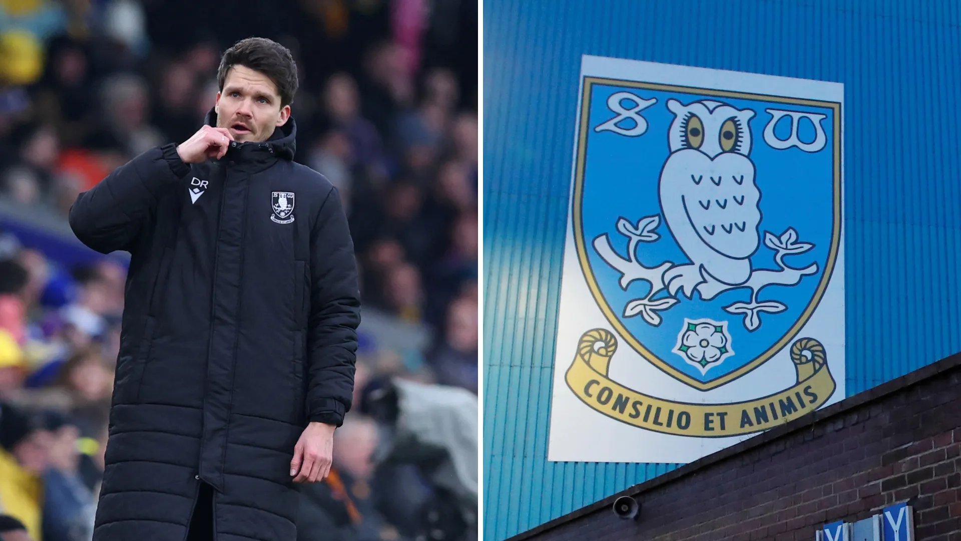 HLV Danny Rohl trong màu áo Sheffield Wednesday