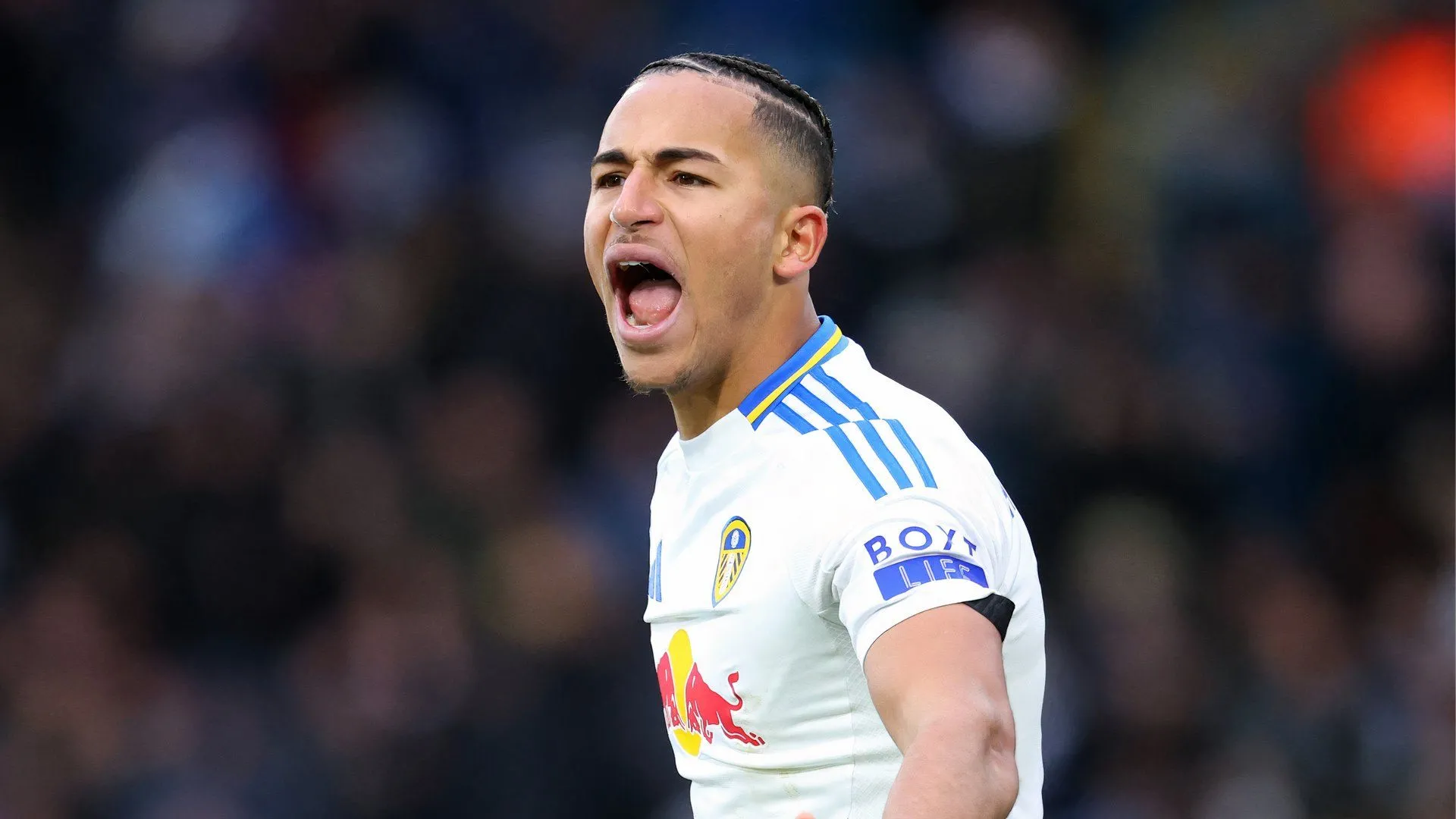 Harrison Armstrong: Giải pháp vàng cho tương lai Everton?