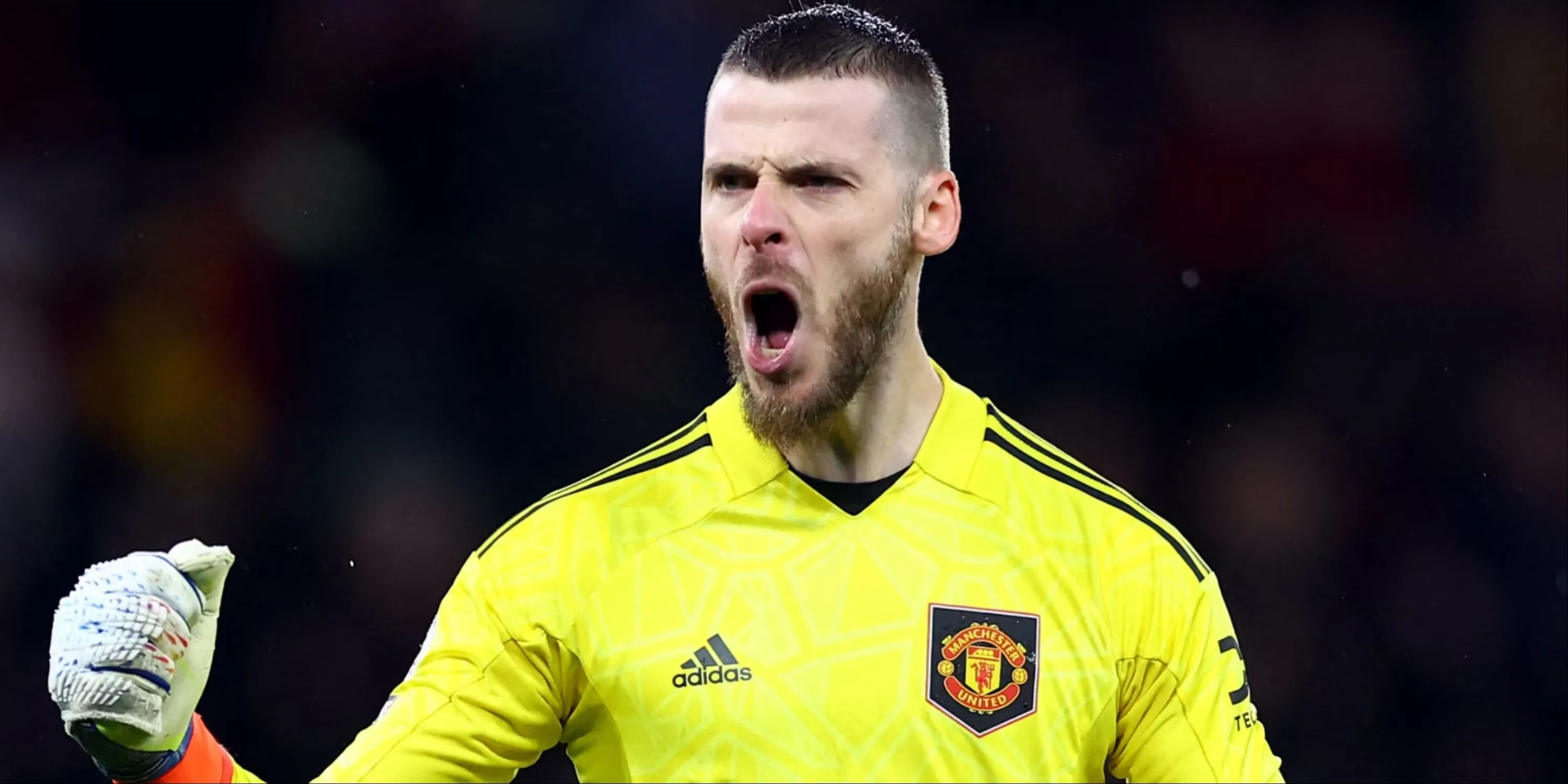 Thủ môn David de Gea trong màu áo Manchester United