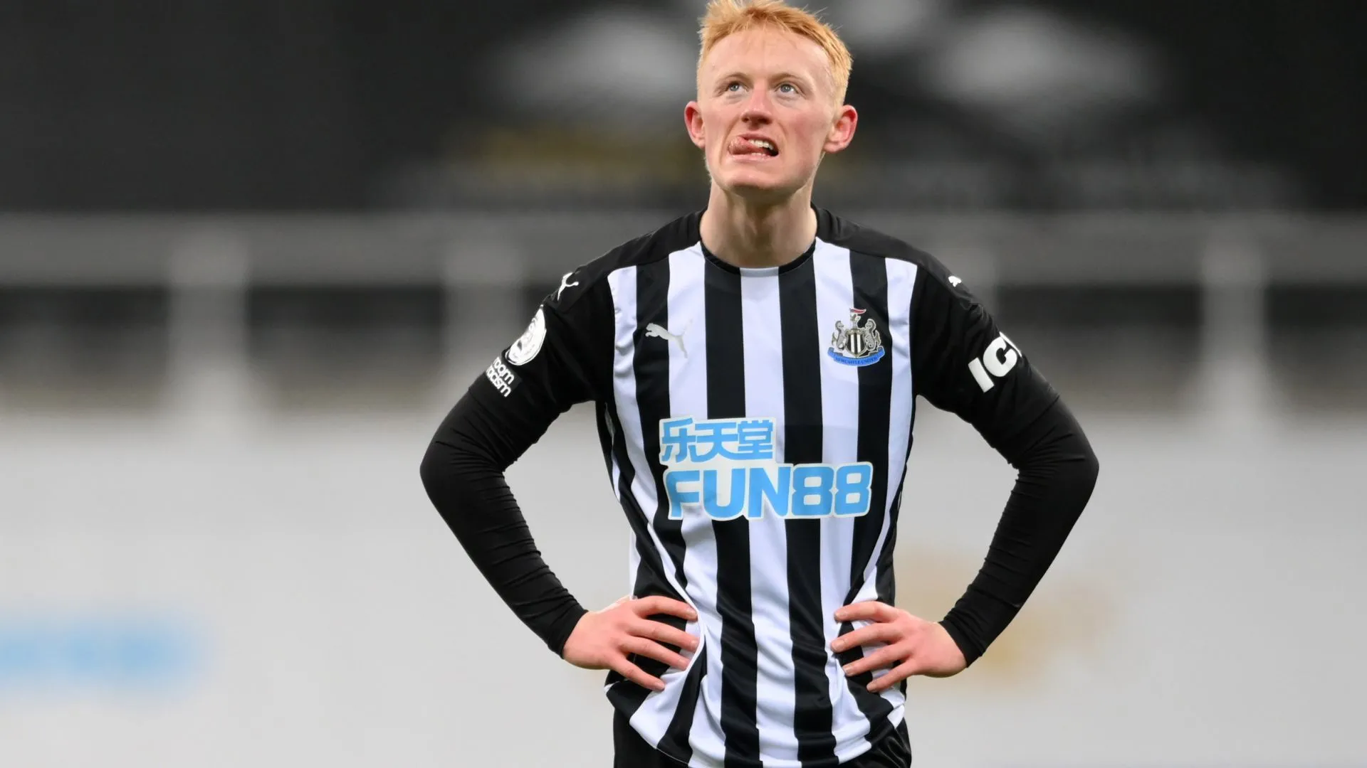 Tiền vệ Sean Longstaff thể hiện kinh nghiệm thi đấu tại Premier League