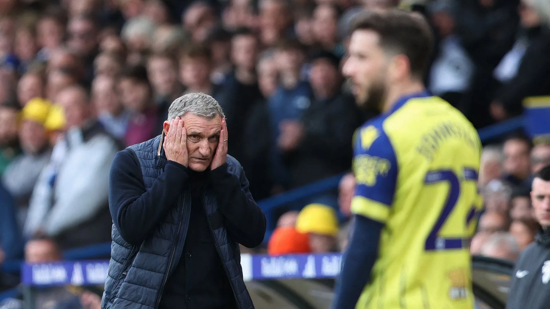 Tony Mowbray trong thời gian dẫn dắt West Brom, hiện đang được Hull City quan tâm