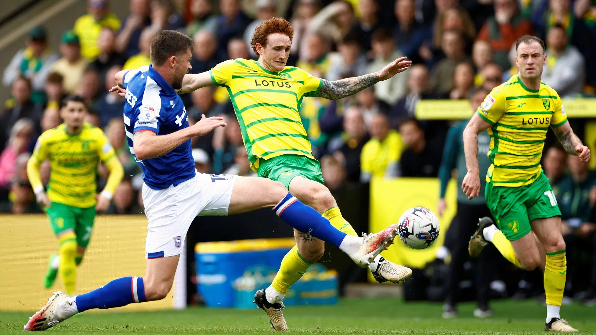 Tiền đạo Josh Sargent trong màu áo CLB Norwich City trên sân cỏ